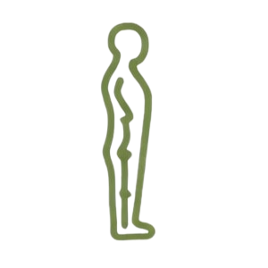 postura más alineada y mejor biomecánica